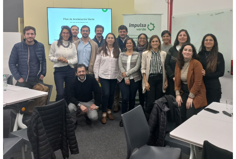 Formación a consultores: Metodología Plan de Aceleración Verde
